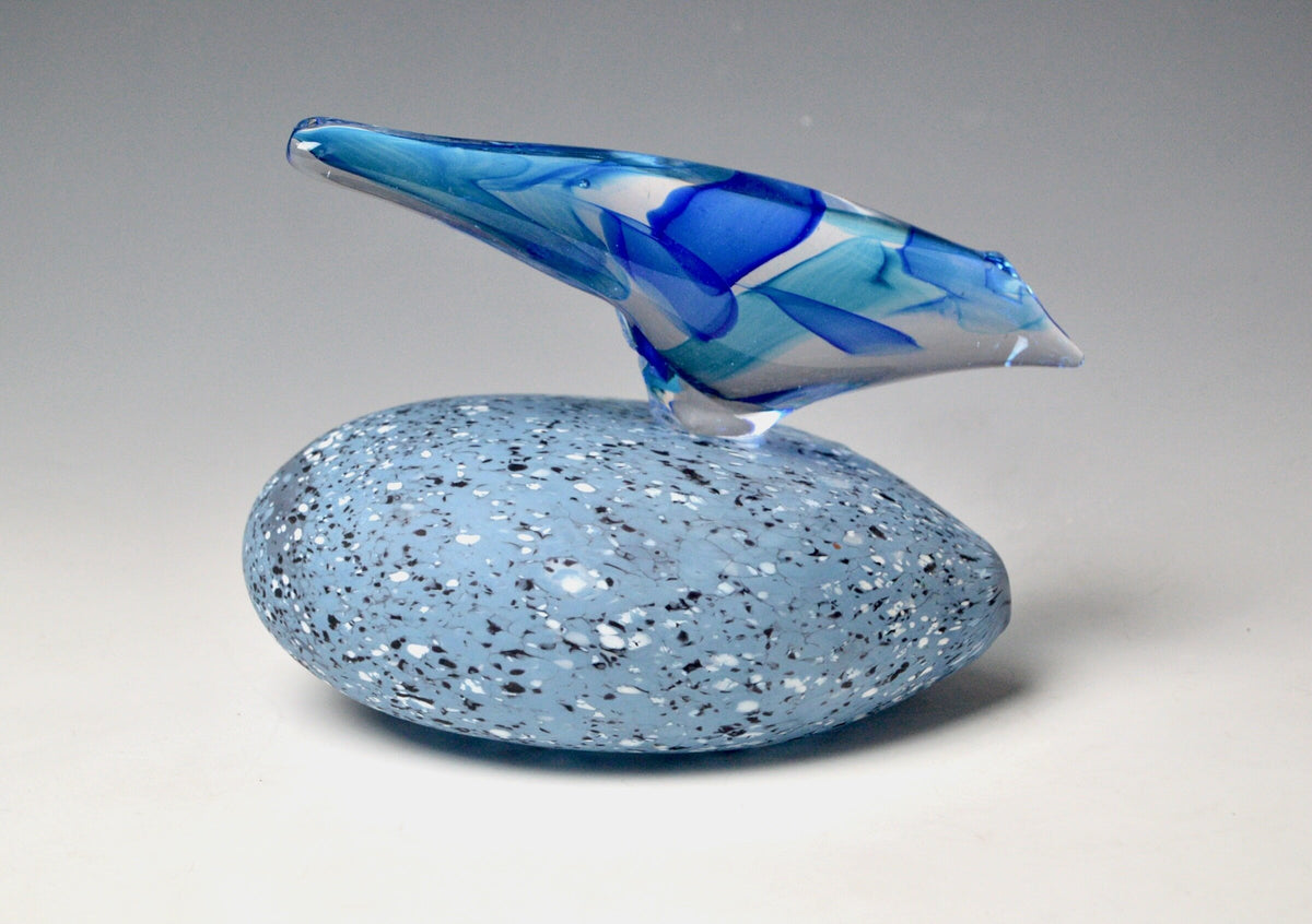 Blue Starling on River Stone