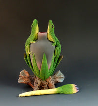 Two Lizard Perfume II