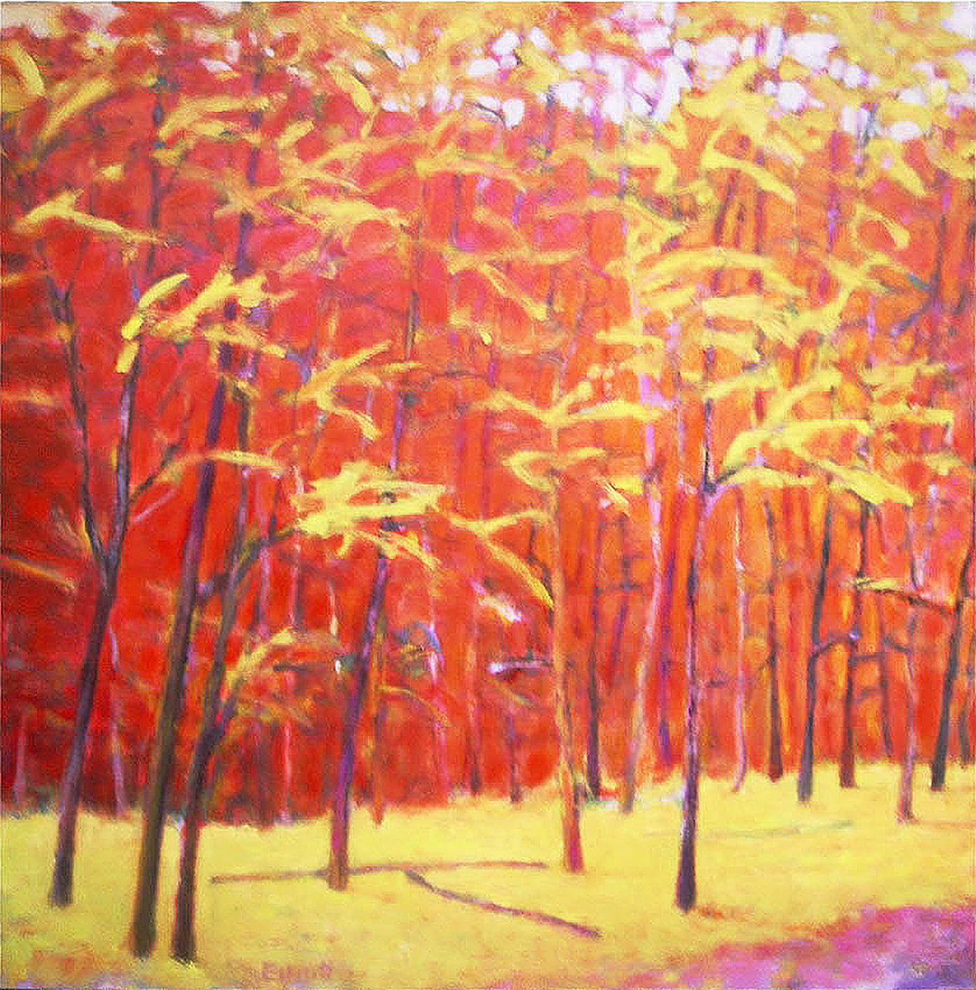 Autumn Bold