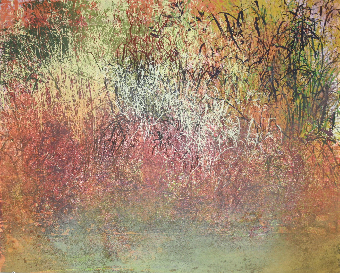 Nate's Land #6