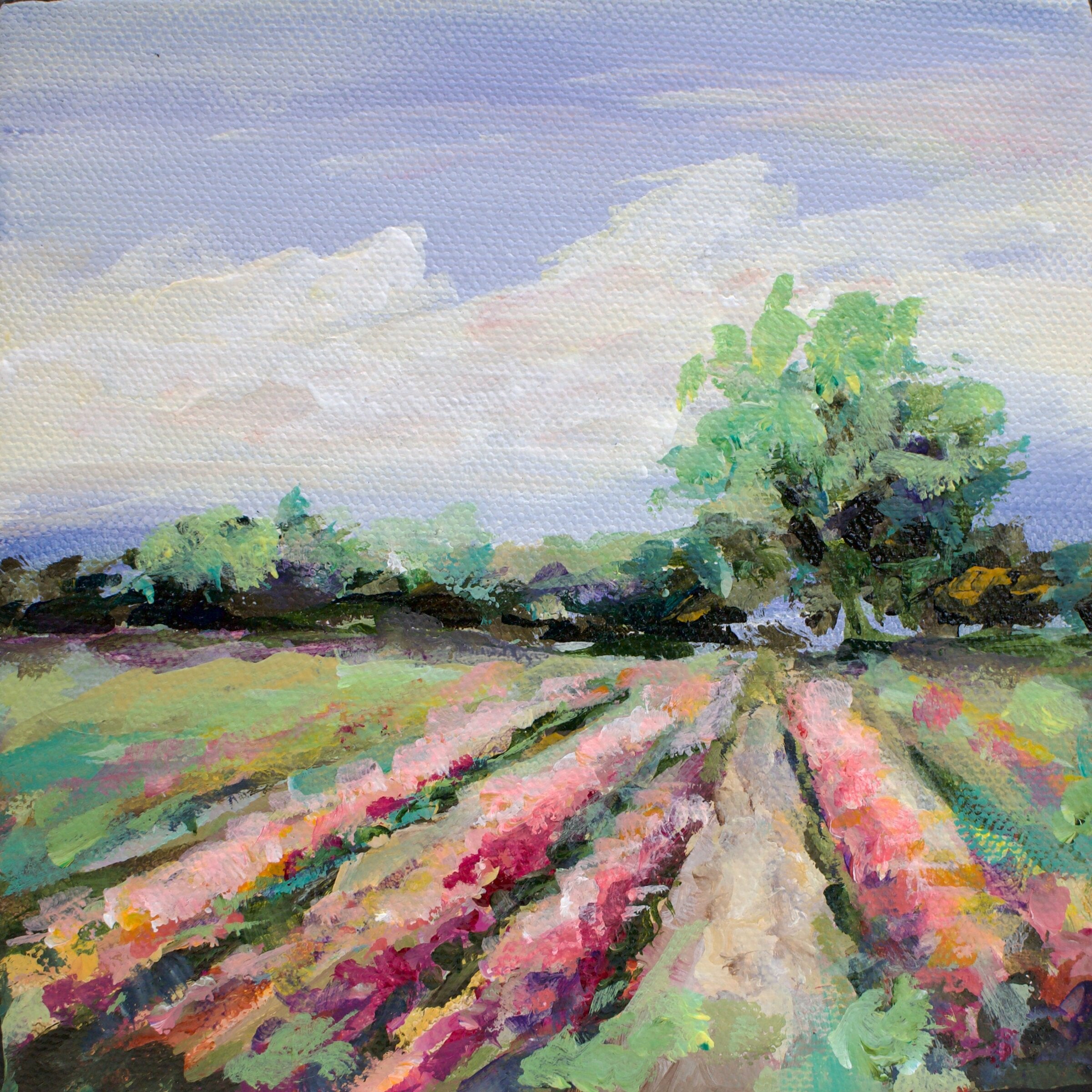 Flower Field