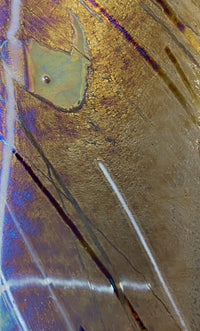 Slate Miro Detail Unlit