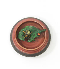 Potato Beetle with Larvae