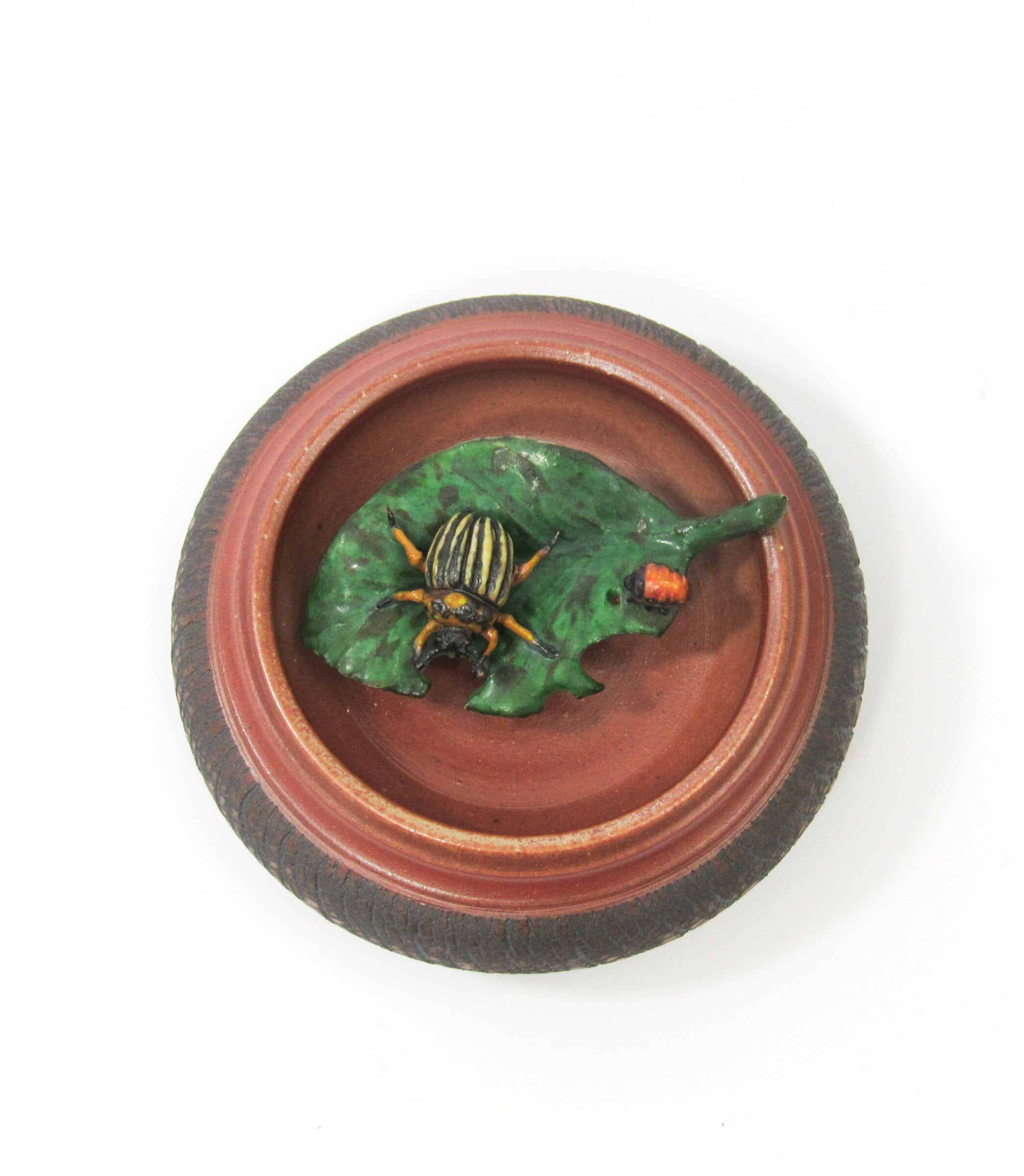 Potato Beetle with Larvae
