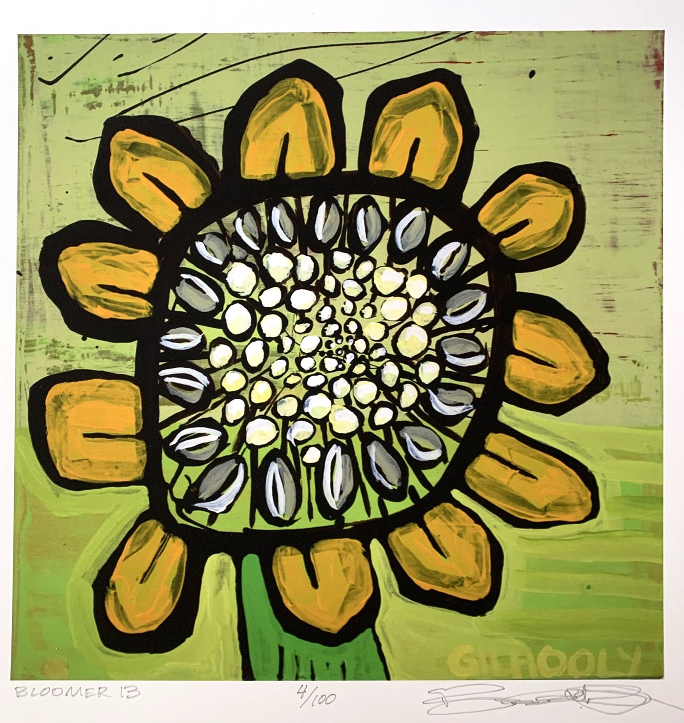 Bloomer 13
