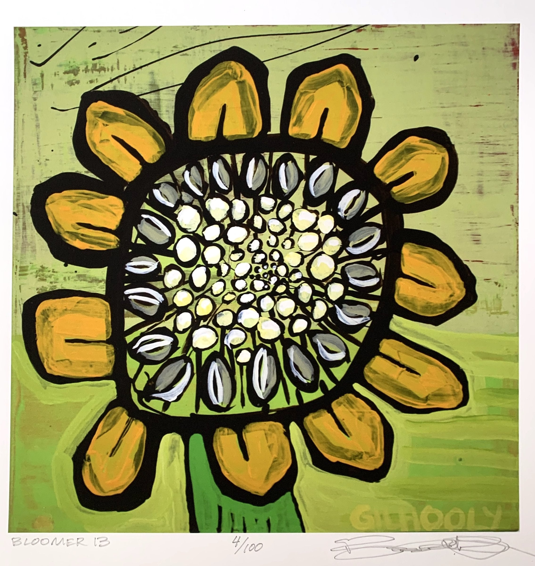 Bloomer 13