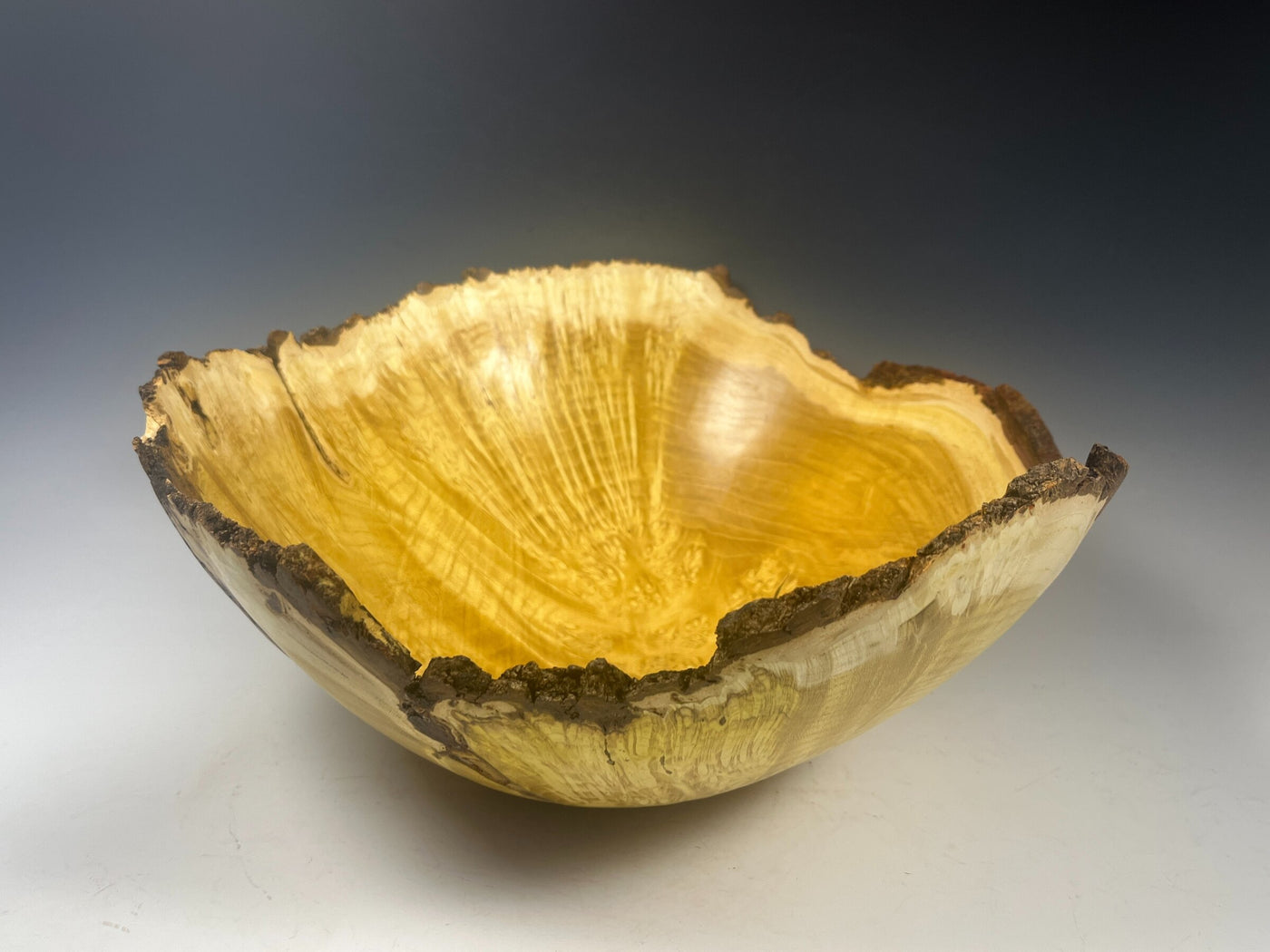 Natural Edge Mulberry Burl Bowl