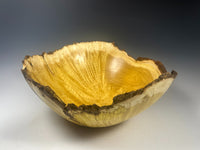 Natural Edge Mulberry Burl Bowl