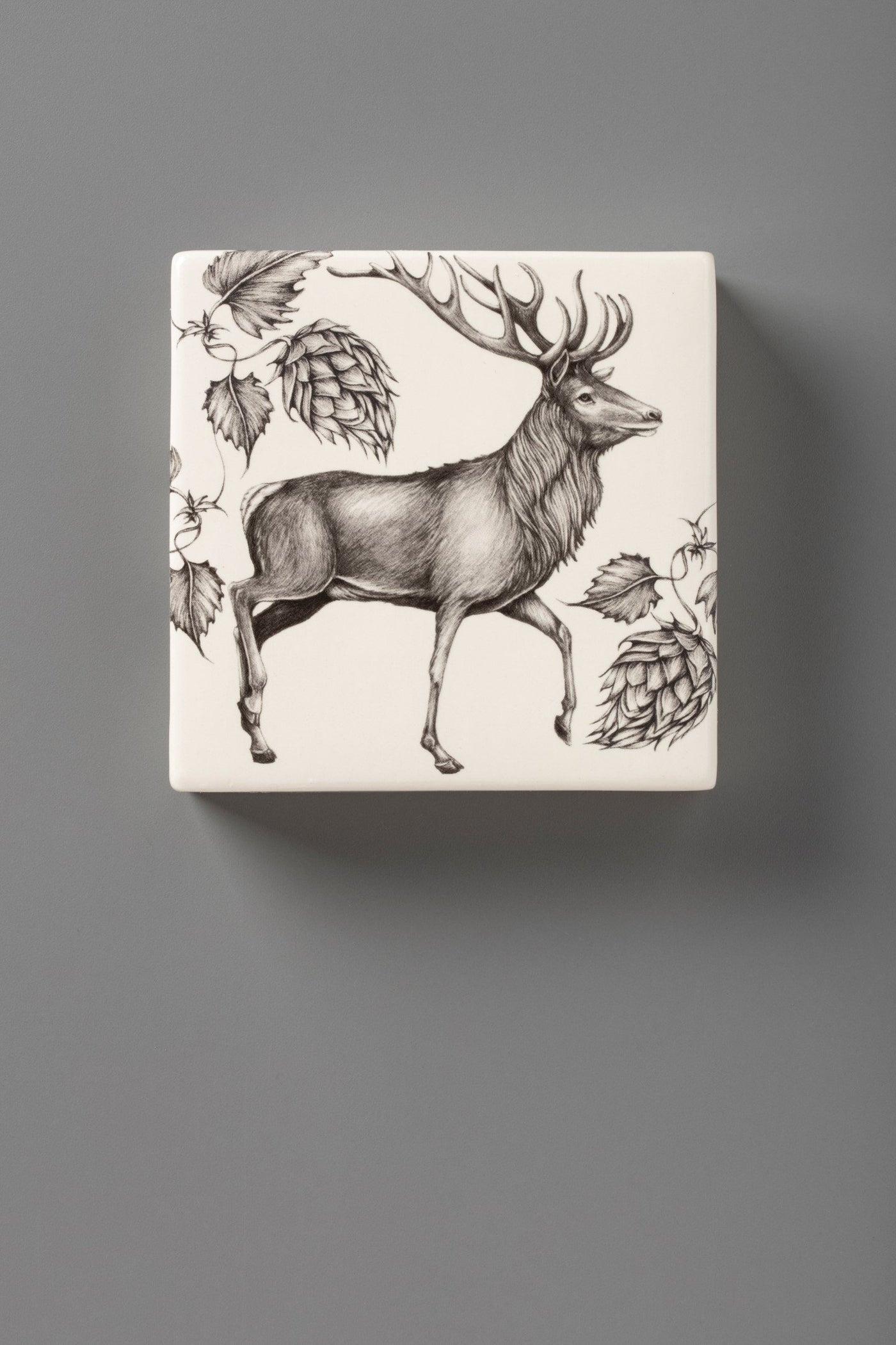 Wall Box: Red Buck