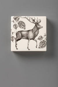 Wall Box: Red Buck