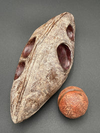 Seeds of Change, Grouping 2