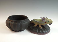 Big Daddy Horned Lizard Box