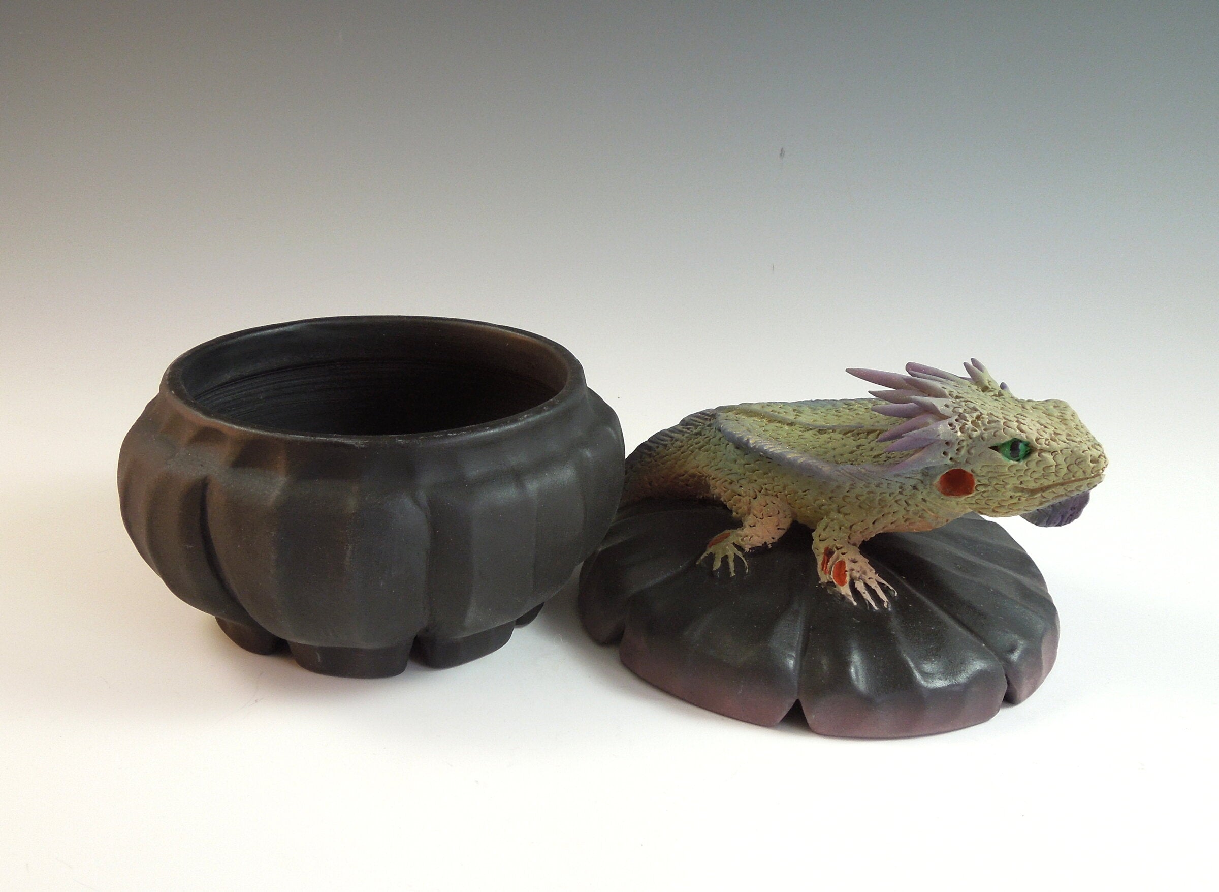 Big Daddy Horned Lizard Box