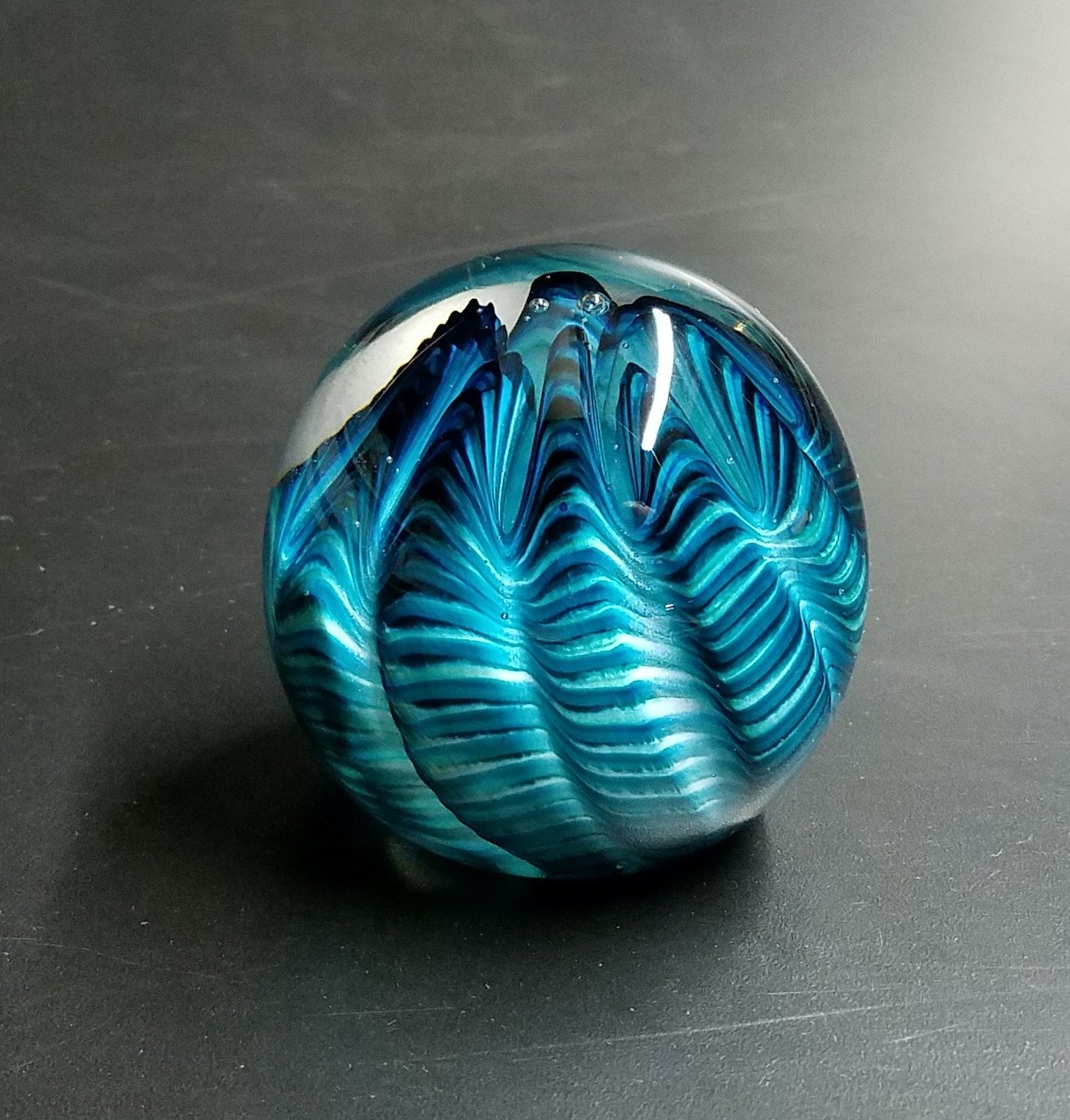 Aqua Sea Urchin