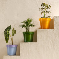 Glass Flower Pot, Earth Tones