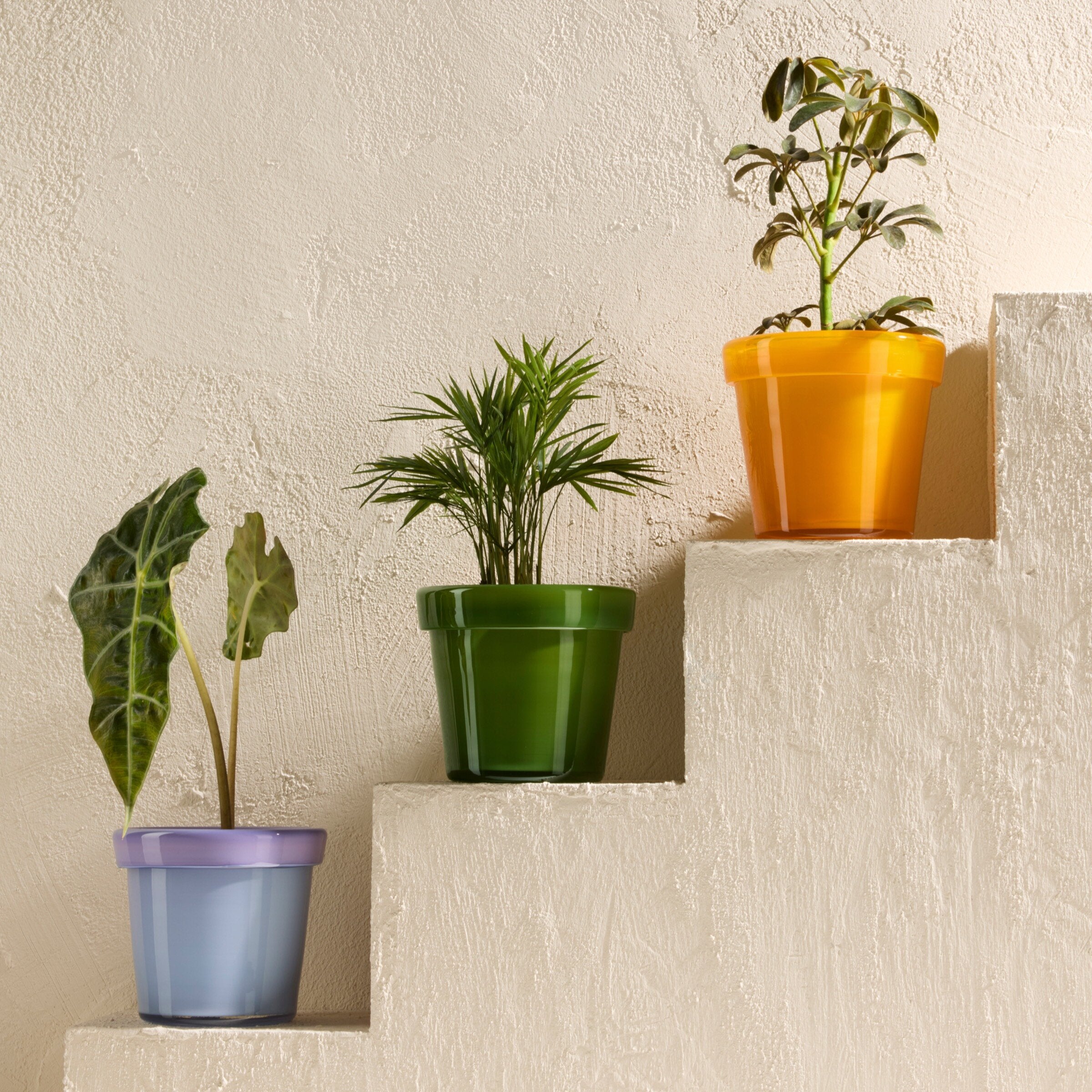 Glass Flower Pot, Earth Tones