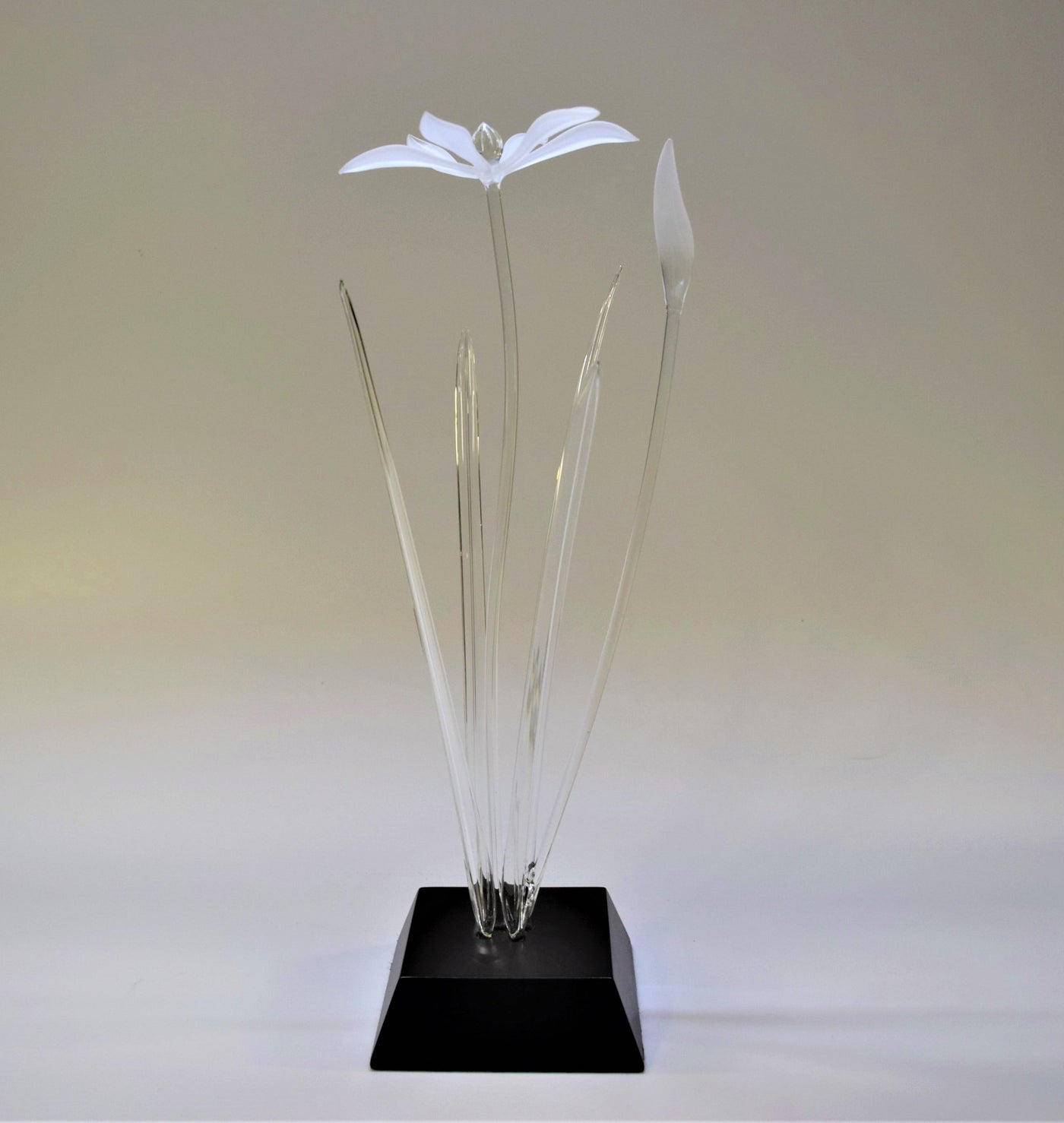 Zephyr Lily & Bud Flower