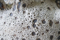Tide Cluster Black Sea Porcelain Vessel