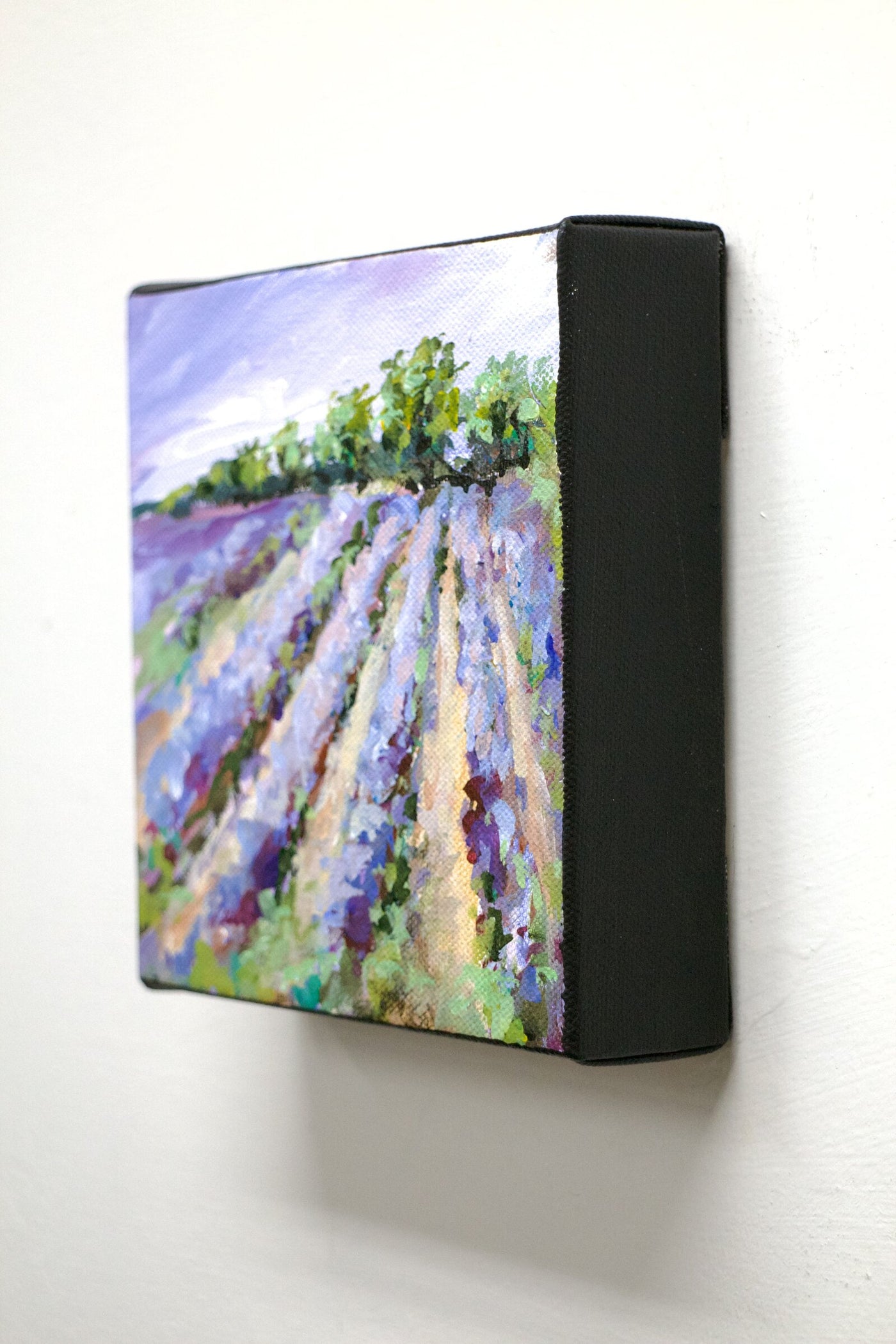 Lavender Field