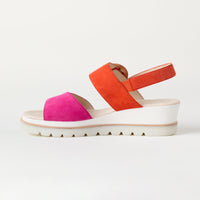 Fuchsia/Tangerine