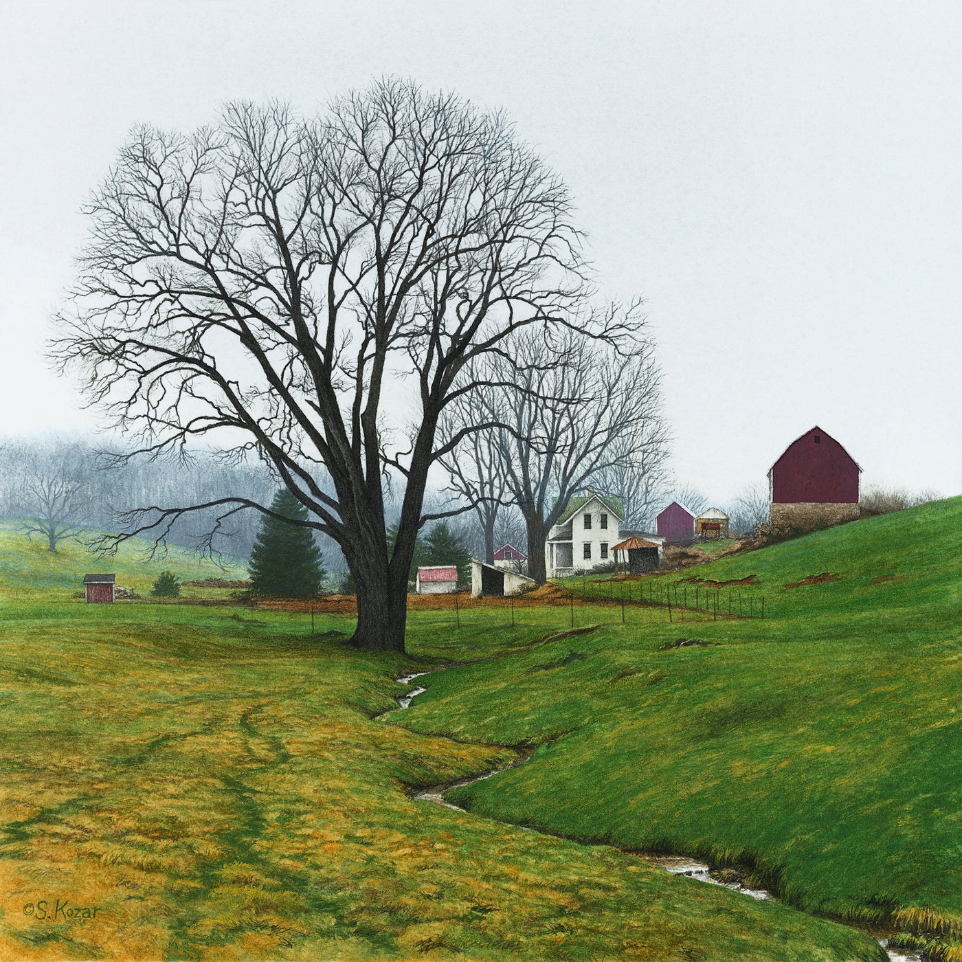Misty Morning - Spring Farm