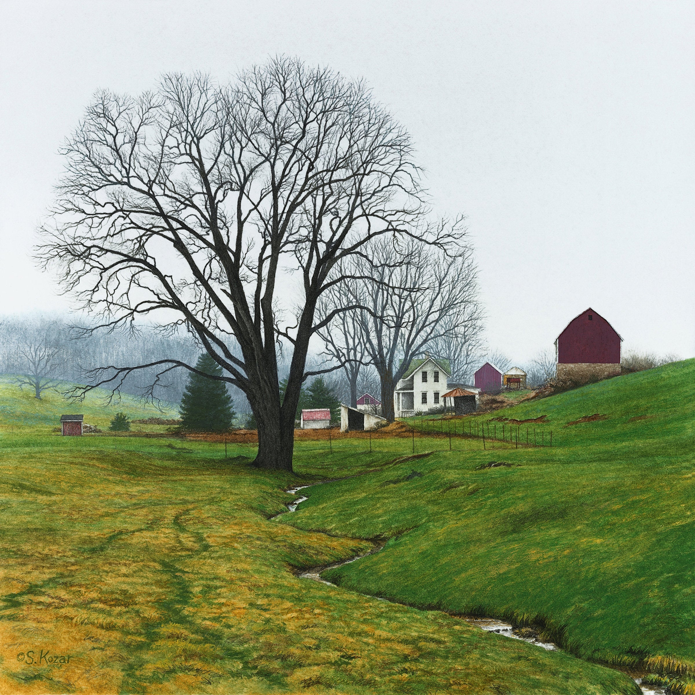 Misty Morning - Spring Farm
