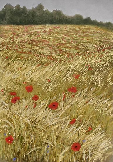 Poppy Field