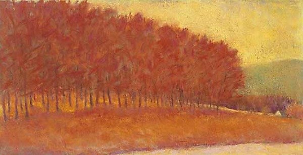 Red Tree Line