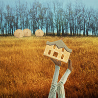 BalancingHouse