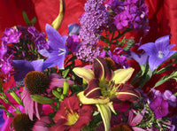 Gardens Glory