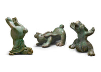 shown with downward and sun salutation bunnies
