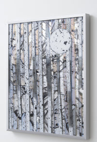Aspen in the Moonlight