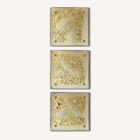 Crystalline Wall Square Set in Ivory