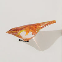 Citrus Bird