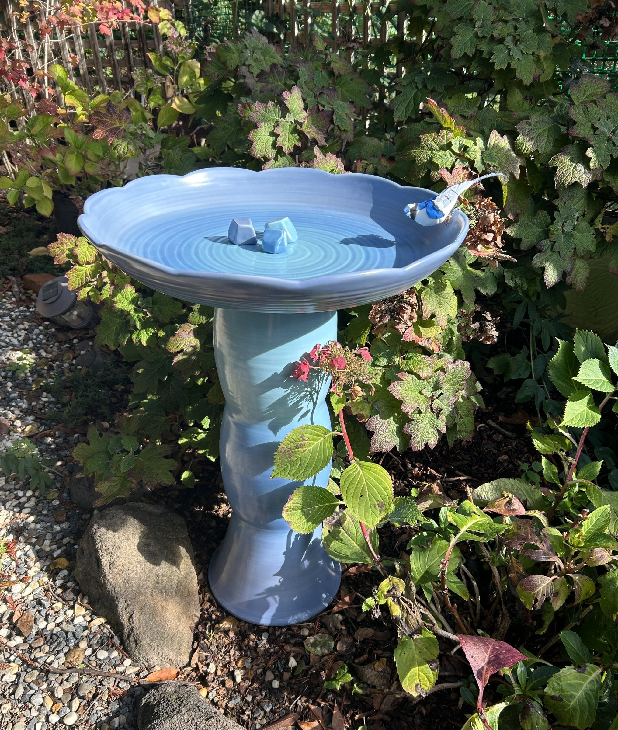 Avian Spa in Blue Heron