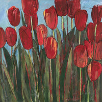 Red Tulips