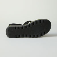 Black/Green