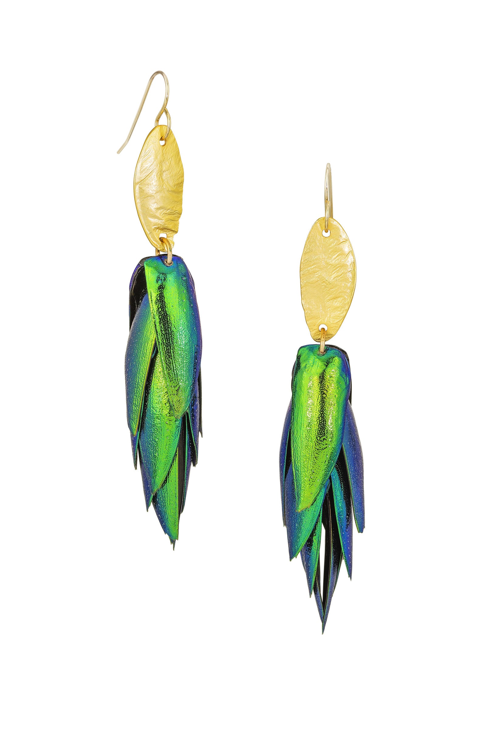 Photo by Cole Rodger