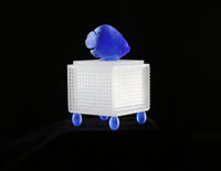 White/Cobalt