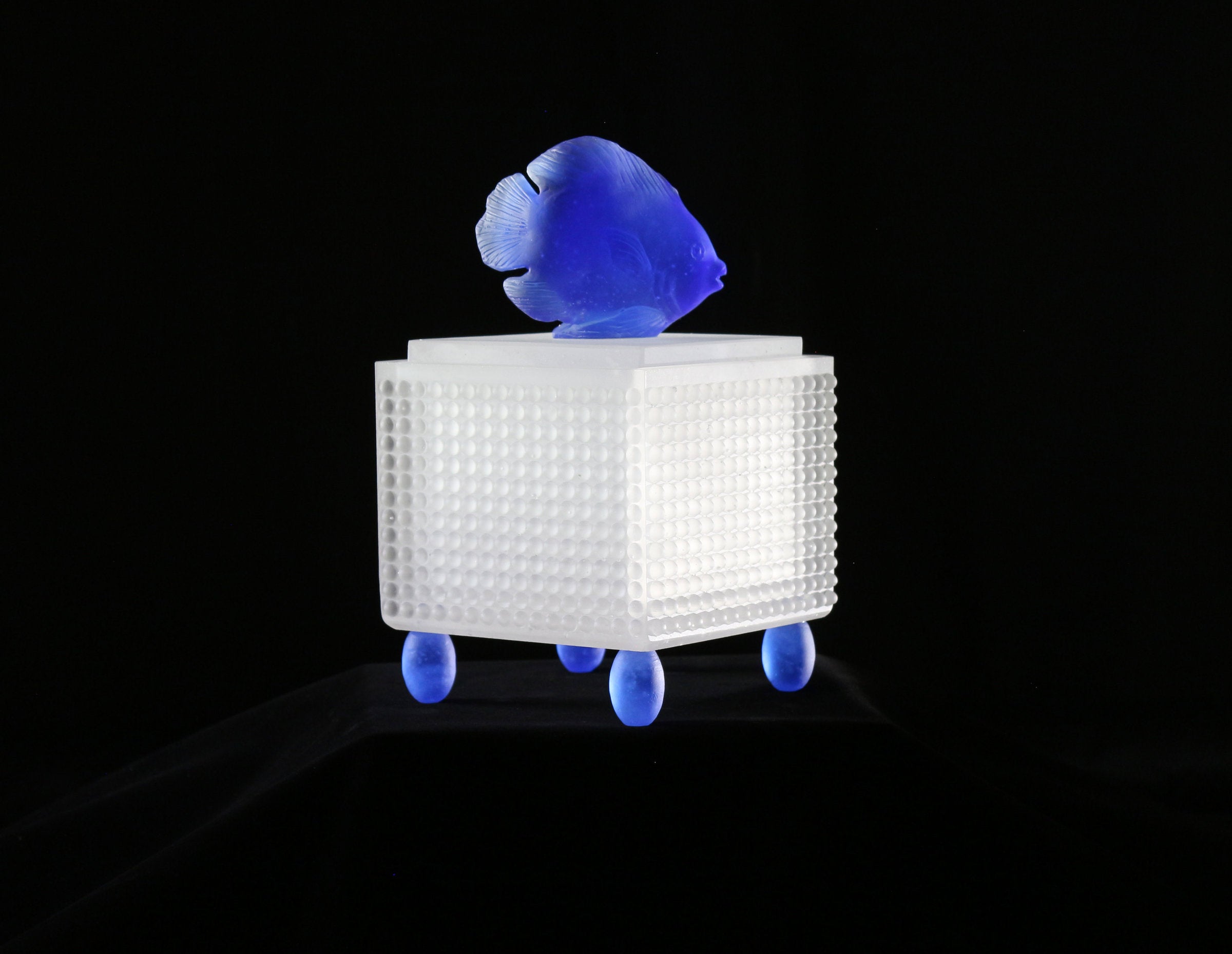 White/Cobalt