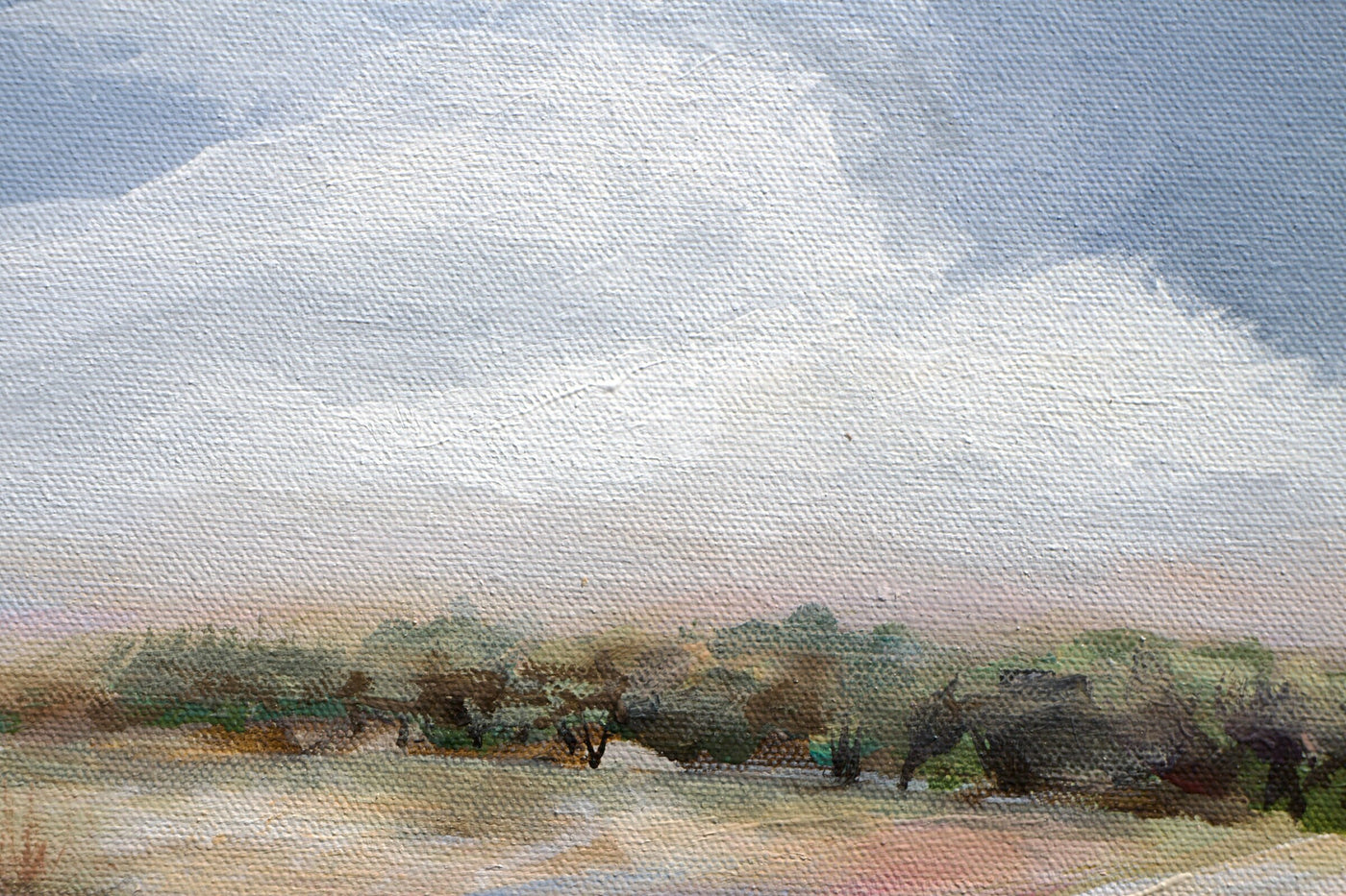 Summer in the Foothills