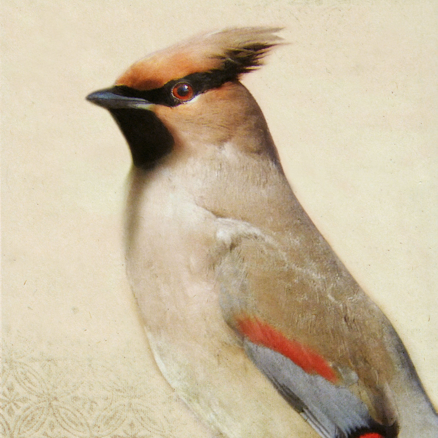 Song of a Waxwing