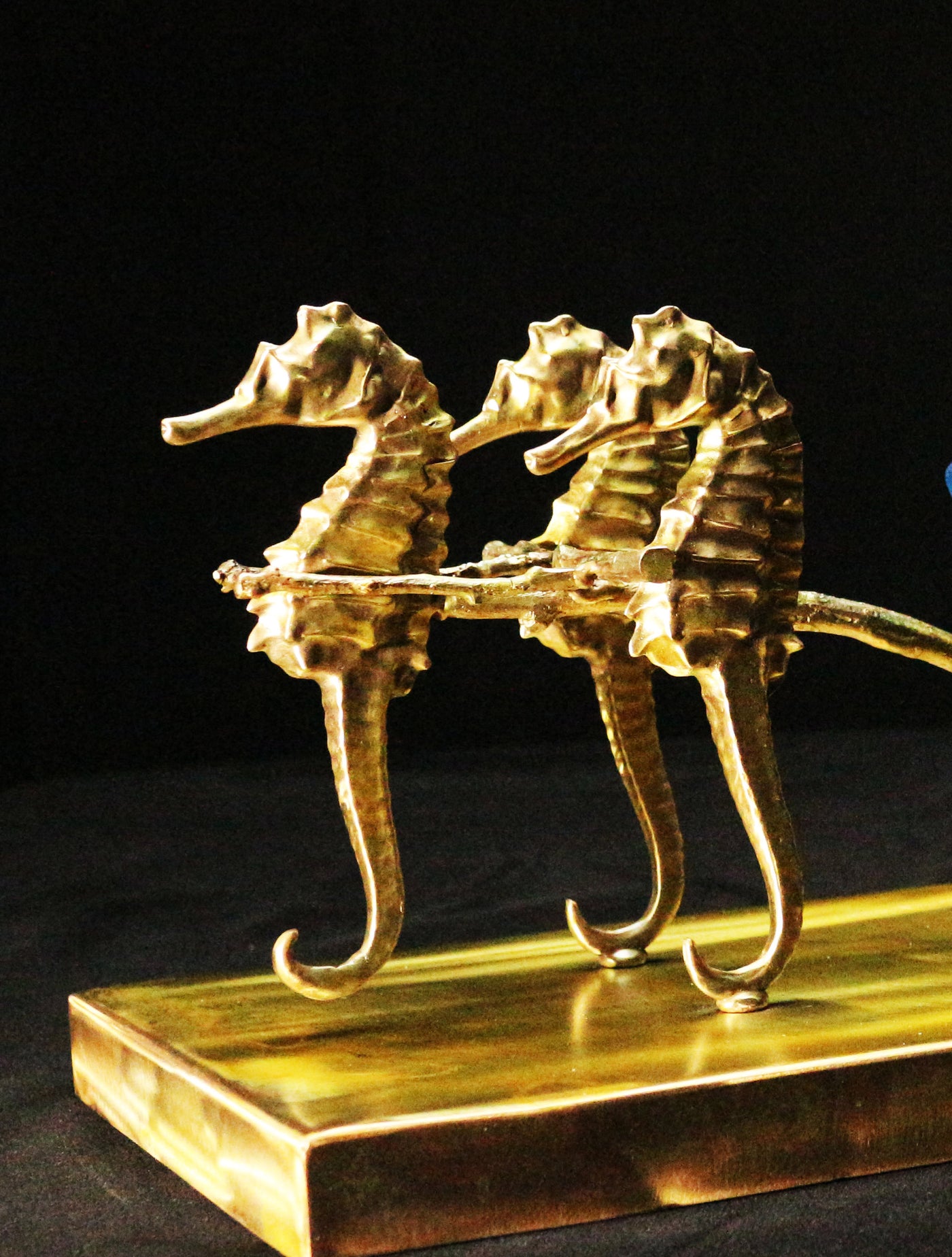 Seahorse Carriage