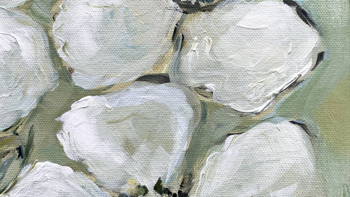 White Dogwood