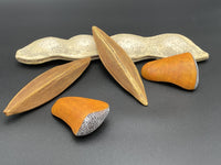 Seeds of Change, Grouping 7