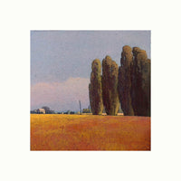 Copper Meadows
