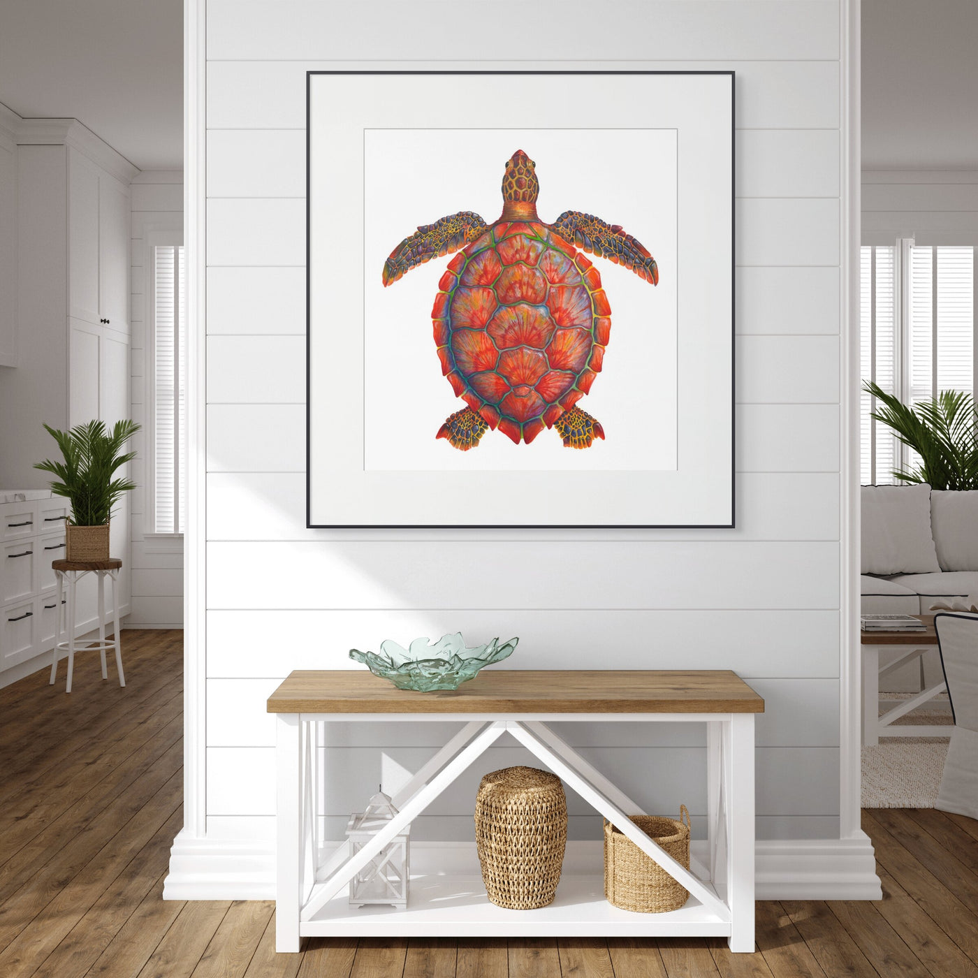 Red Sea Turtle - Chelonia Mydas