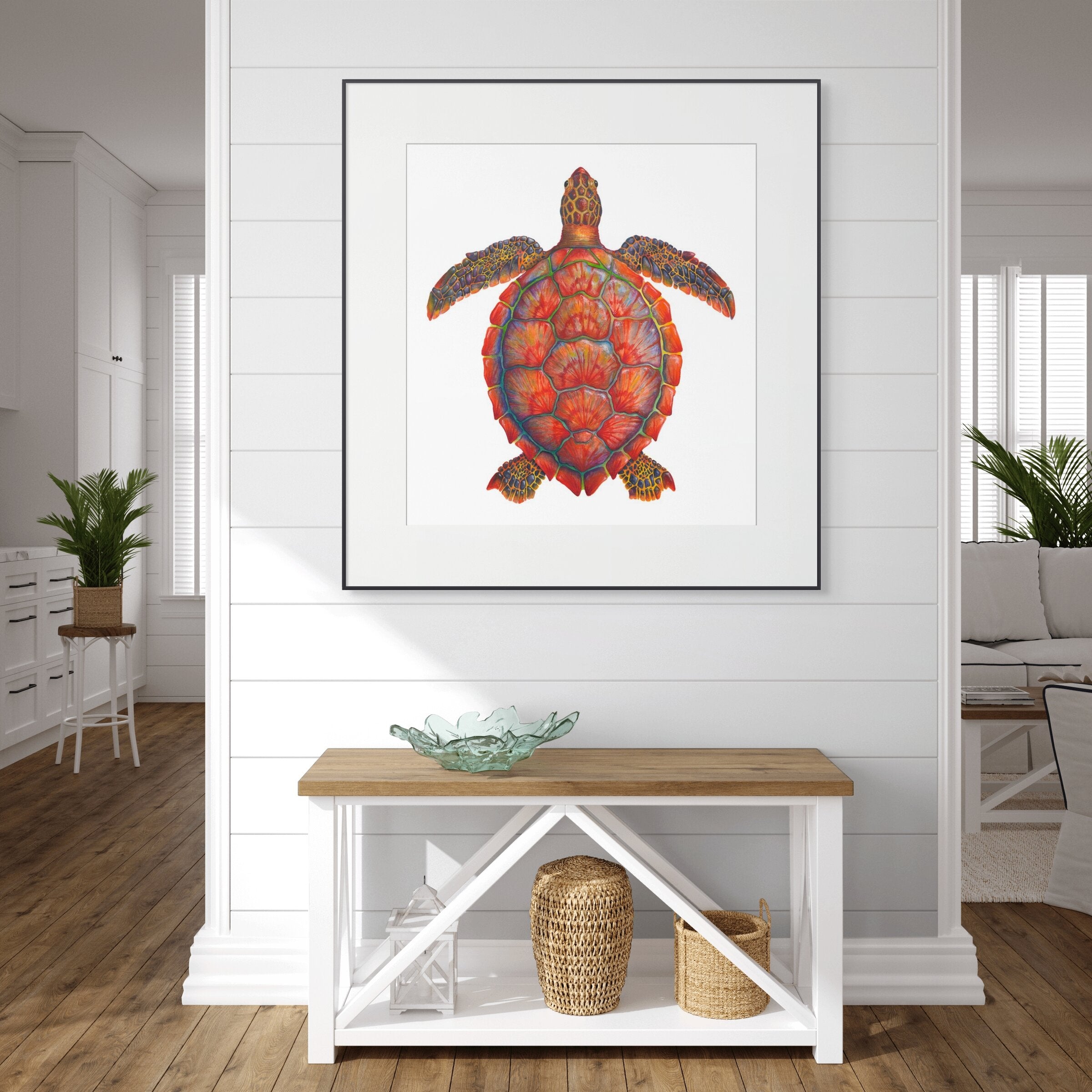 Red Sea Turtle - Chelonia Mydas