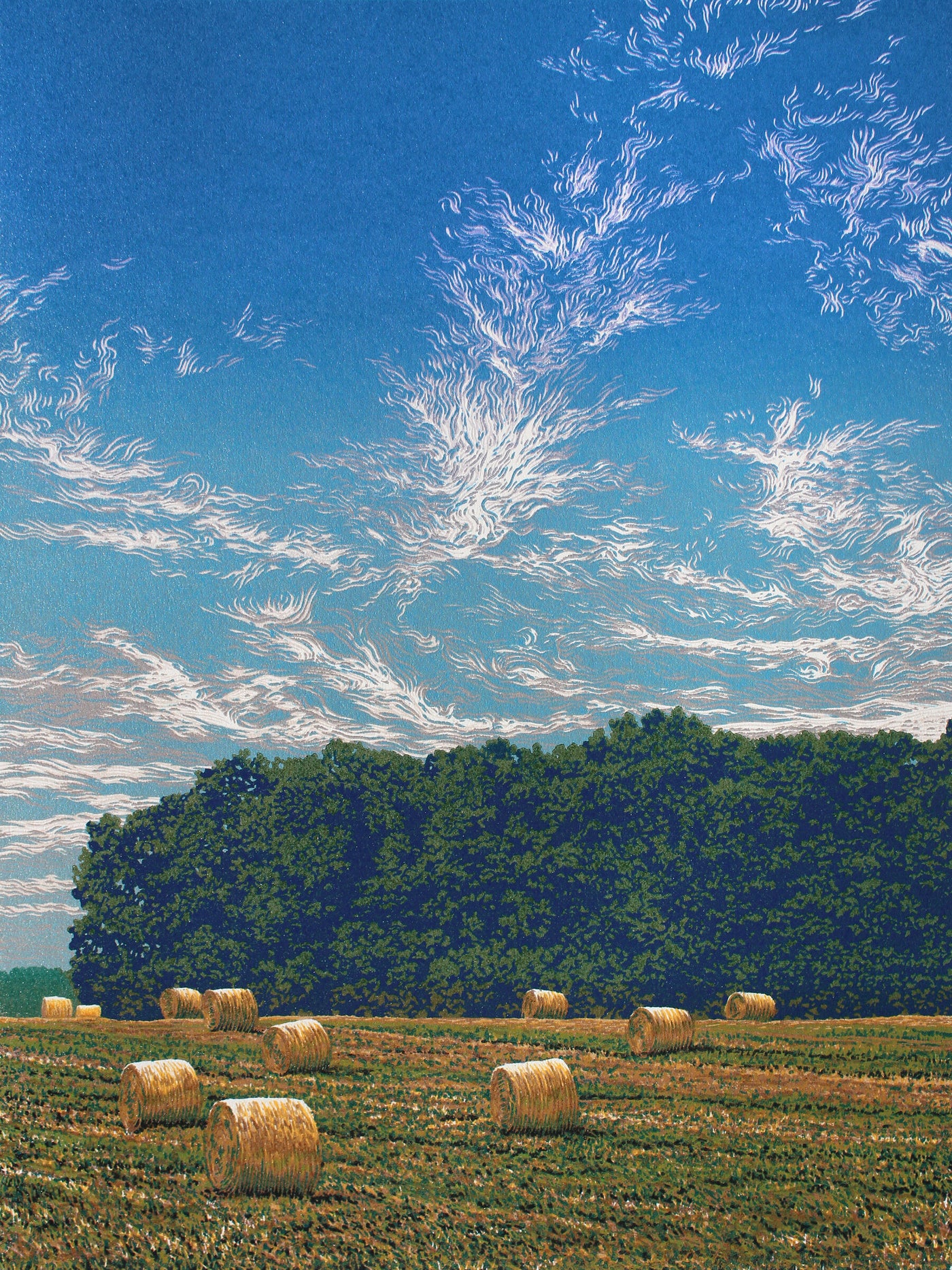 Summer Field