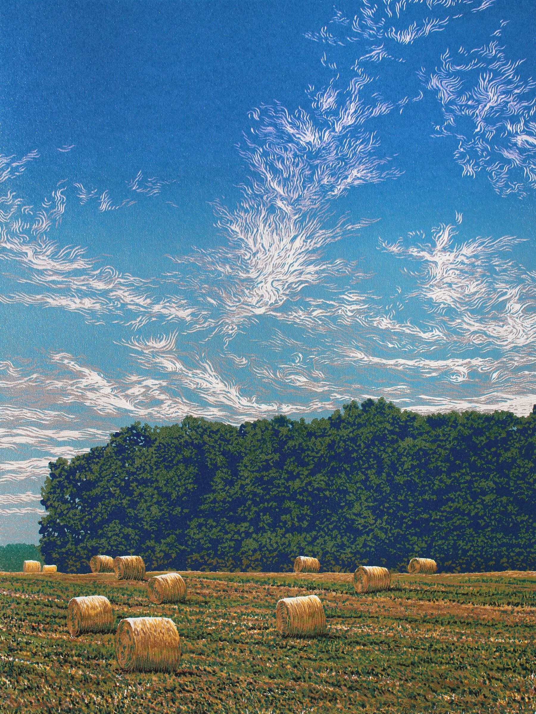 Summer Field